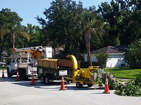 Storm Debris Removal