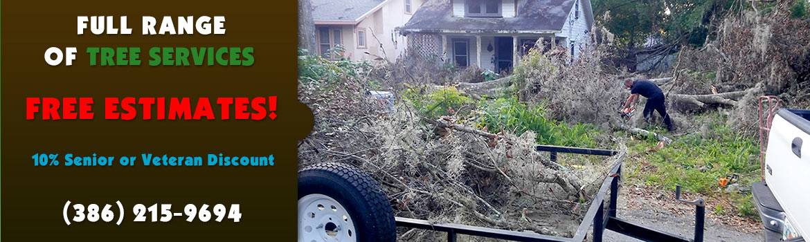 storm debris removal