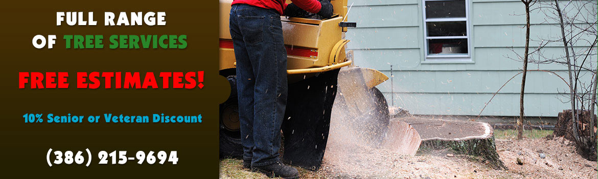 stump grinding service