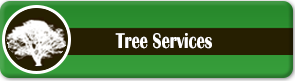 Tree Services