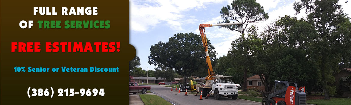 tree services